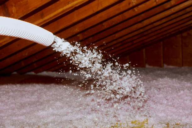 Best Commercial Insulation in Palo, IA