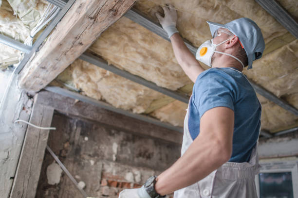 Best Energy Efficiency Solutions in Palo, IA