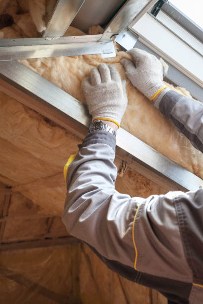 Best Residential Insulation in Palo, IA